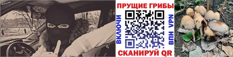 Псилоцибиновые грибы Psilocybine cubensis  Макаров 